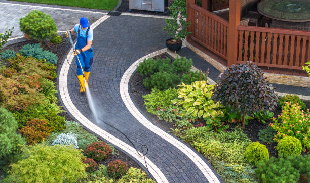 Best Roof Power Washing Services  in Babson Park, FL